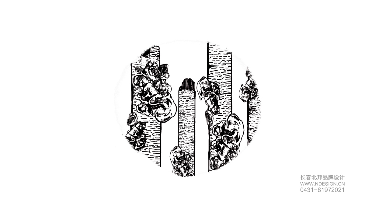 插画设计,产品插图设计